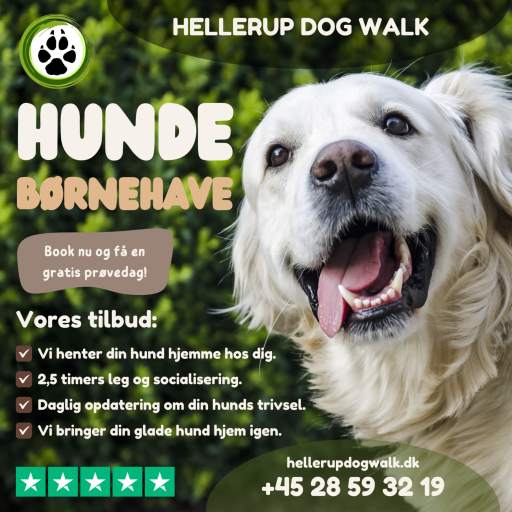 Hellerup dog walk3